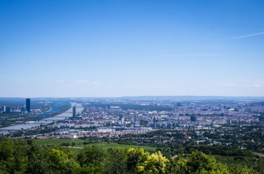 Panorama view of Vienna - Private guided tours