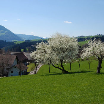 Mostveiertel, Lower Austria, Austria