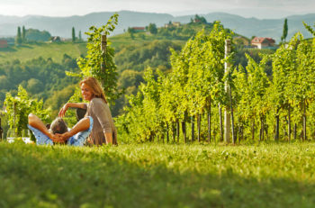wine holidays in Austria