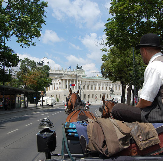 Fiaker horse carriege on Ringstrasse in Vienna, Travel destination Austria