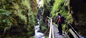 Raggaschlucht, Carinthis, coolest canyons in Austria
