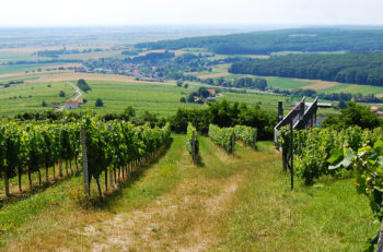 Slow travel in Southern Burgenland, Austria