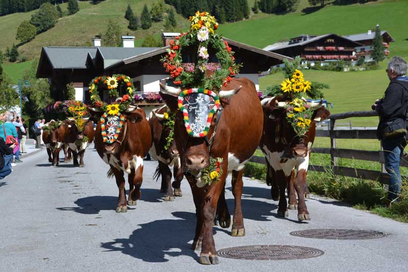 5 spectacular traditional festivals in Austria | Travel to Austria