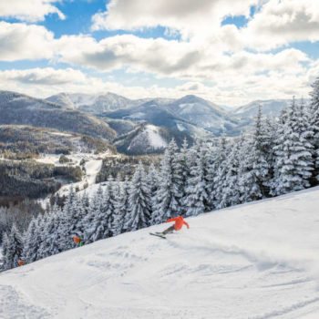 Skier on the slope by Annaberg lifts ski resort, Lower Austria