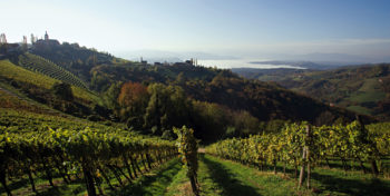 A view over the Sausal Wineregion in Styria