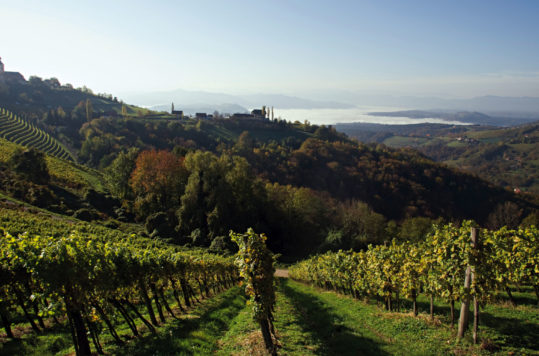 A view over the Sausal Wineregion in Styria